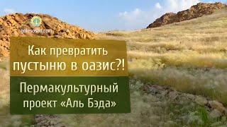 Как превратить пустыню в оазис?! Пермакультурный проект "Аль Беда" в Аравийской пустыне.