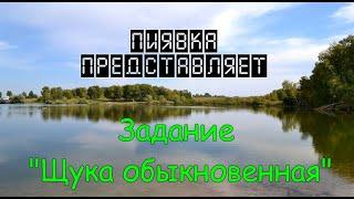 ЩУКА ОБЫКНОВЕННАЯ #MyFishingworld