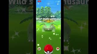 Wild shiny venusaur#pokemongo