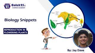 REPRODUCTION IN PLANTS | BIOLOGY SNIPPETS BY JAY DAVE | CATCH25 SCIENCE ACADEMY