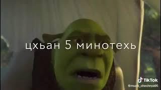 чеченский прикол (Шрэк)