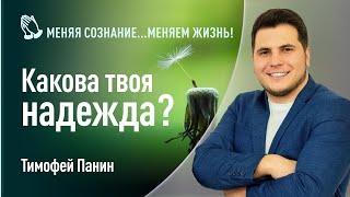 Какова твоя надежда | Тимофей Панин