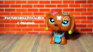 LPS: РАСПАКОВКА ПОСЫЛКИ с обмена