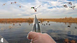DUCK HUNTING New Floodwaters on Public Land