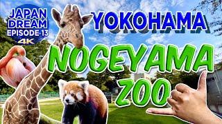 Best FREE ZOO in JAPAN!