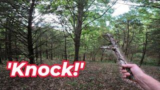 Wood Knocks!! Shocking First Woods Walk on 575 Acres Missouri Ozarks