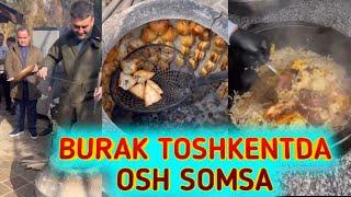 BURAK TOSHKENTDA OSH SOMSA PISHIRDI // shoubiznes yangiliklari