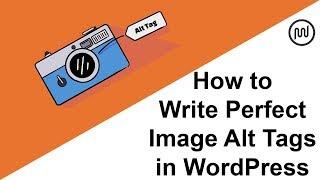 How to Write the Perfect Image Alt Tags in WordPress