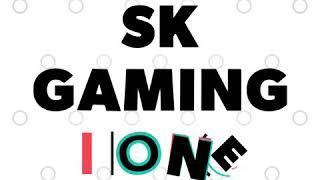SK GAMING ZONE
