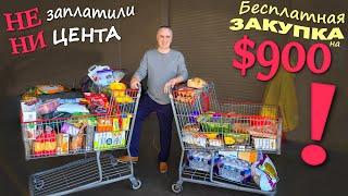 Получили бесплатно 2 тележки продуктов на $900 в Costco! Что с яйцами? Большая закупка в США / Влог