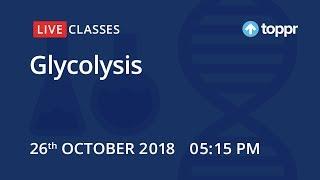 LiveClasses: Biology | Glycolysis