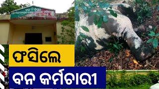 Odisha : Two forest officials suspended for dereliction in duty | Sanket Tv