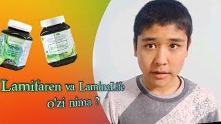 Lamifaran and LaminaLife! A purely biological product, seaweed as a meat substitute?