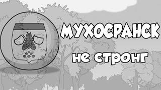 Мухосранск не стронг (COUNTRYBALLS)