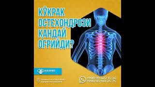 КЎКРАК ОСТЕОХОНДРОЗИ ҚАНДАЙ ОҒРИЙДИ? #saidatabiba  #asalarimed #osteochondrosis