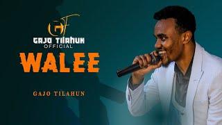 Gajo Tilahun- WALEE- New Oromo Music video 2024