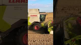 Claas Lexion 6700, convio 930