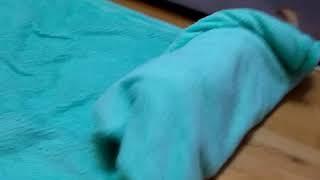 Дрессировка чихуахуа, команда ,,ролл" или укройся пледиком #чихуахуа