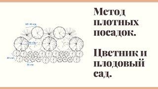 Метод плотных посадок в цветниках и плодовом саду.