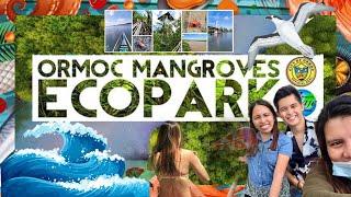 NAUNGAN MANGROVES PARK ORMOC CITY, LEYTE ️ | MANGROVE ADVENTURE  | DAN ALBERT JOSE