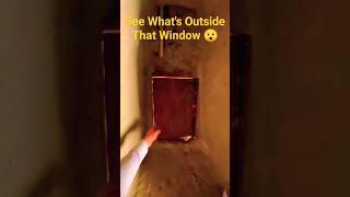 See What's Outside that Window !!!! | JR Films | Travel Vlog | Shorts