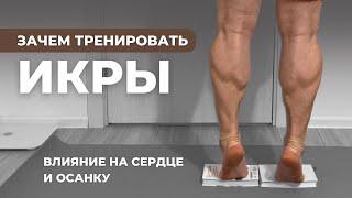 Зачем тренировать икры.