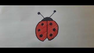 CHAFER DRAW BY ZIYO DRAW TV