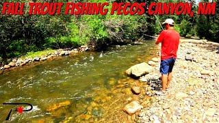 Pecos Canyon Fall Trout Fishing: New Mexico