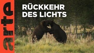 Rückkehr des Lichts | Skandinavien | ARTE Family