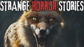 5 Strange & Disturbing Horror Stories