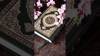 Surah al Qasas #Surah Qasas #surah al Qasas #Quaran