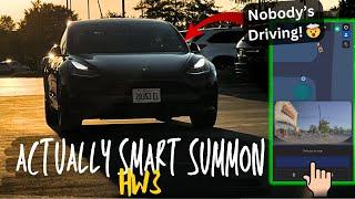 Actually Smart Summon HW3 Kicks A.S.S. in Costco Parking Lot