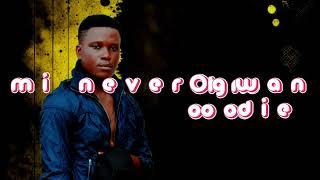 Never Die Poor (lyrics video) by Chapta de gwava.