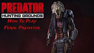 Predator Hunting Grounds: HOW TO PLAY FERAL PREDATOR