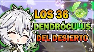 Los 36 Dendróculus del Desierto de Layavard y Farajkert . Genshin Impact