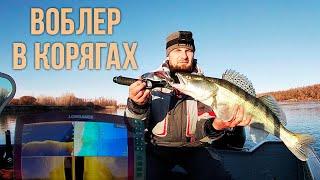 Ловля судака на воблер в корягах!!! Павлодар Казахстан р Иртыш #FishMania