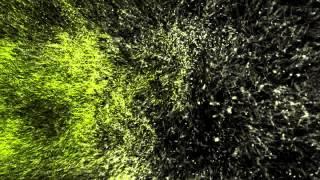 Roocola.com - Intro