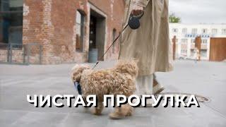 Чистая прогулка  - Акция от Greenway