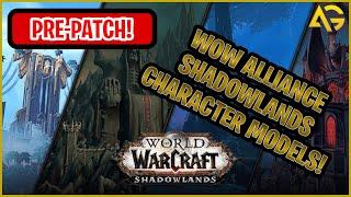 World of Warcraft Shadowlands Alliance Character Models Pre-Patch