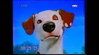 Анонс (Nickelodeon) (NTSC/ТНТ) (2003-2006) гг.