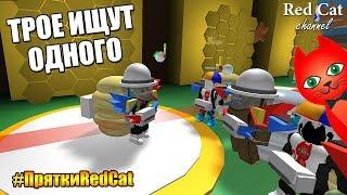 ПРЯТКИ ТРОЕ ИЩУТ ОДНОГО В СИМУЛЯТОРЕ ПЧЕЛОВОДА РОБЛОКС | Bee Swarm Simulator roblox | #ПряткиRedCat