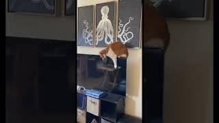 Did not see THAT coming. $800 TV is busted now