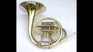 Vienna Horns -- Magnificent Seven