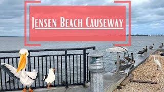 Scenes from Jensen Beach Causeway in Jensen Beach, Florida