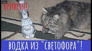 Водка Живой рецепт из "Светофора". Не мертвый, что хорошо!