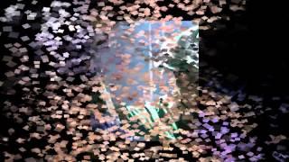 charlotte salt - good intentions