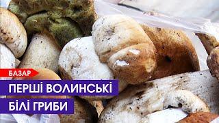 До 250 гривень за кілограм: які гриби можна купити на базарі в Луцьку