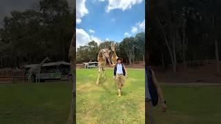 CASI ME COME UN LEON  CORRE A VER EL VIDEO 
