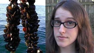 Are Bivalves Vegan? Specifically Oysters and Mussels?
