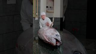 Tuna fillet full version 2025 x Hoshi Phan #hoshiphan #sashimi #asmr #maguro #sushi #hoshi